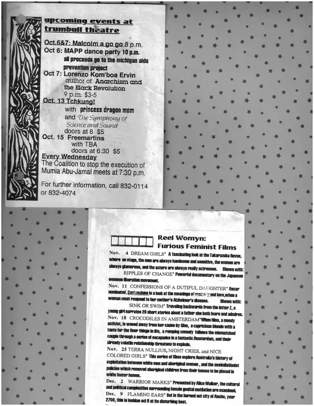 Trumbullplex flyer