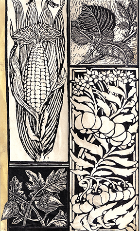 Black and sepia tone drawing of corn, acorns, blackberry vines, and  other plants with intricate borders around them.