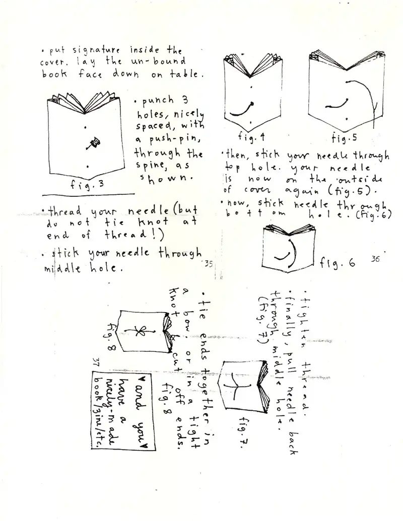2002 Trumbullplex flyer