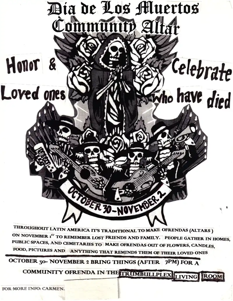 2002 Trumbullplex flyer